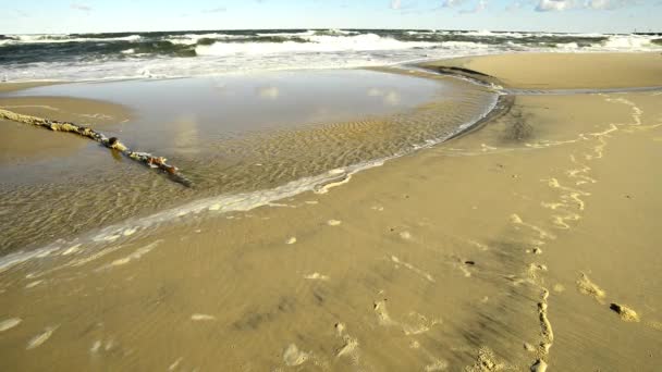 Balti Tenger Szél Erős Surf Surf — Stock videók