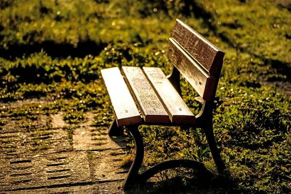 Park Bench Autumnal Sun — Stock Photo, Image