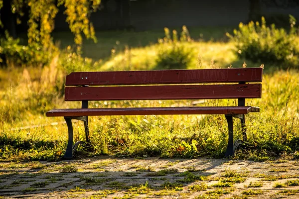 Park Bench Autumnal Sun — Stock Photo, Image