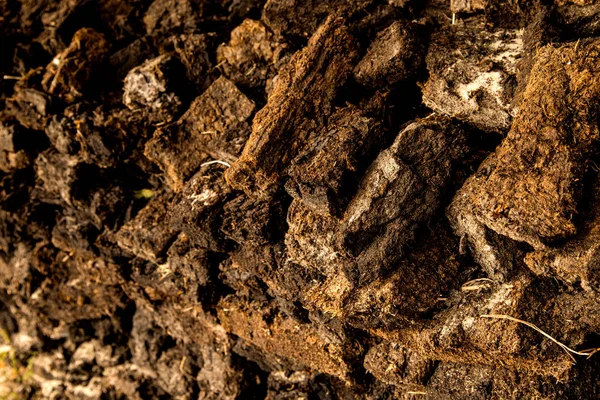 Peat Closeup Stock — Stock Photo, Image