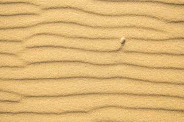 Kum çakıl ve dalga desenleri ile bir Beach