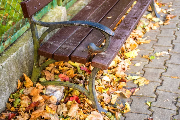 Zaparkovat Lavičku Městě Podzimním Slunci — Stock fotografie