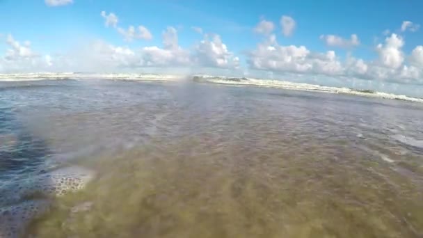 冲浪的波兰 在海浪中的相机在波罗的海海滨游乐场 — 图库视频影像