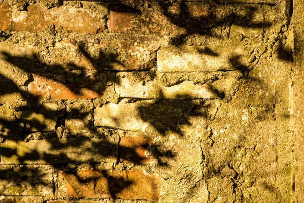Alte Ziegelmauer Eines Hauses Mit Blätterschatten — Stockfoto