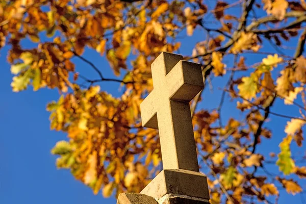 Kruis Van Een Pelgrim Weg Met Herfst Bladeren Geschilderd — Stockfoto