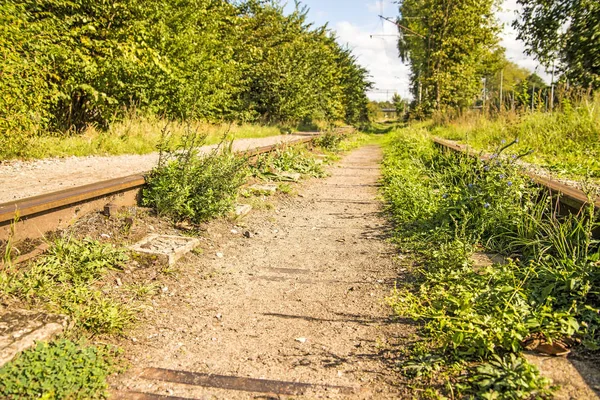 Velho Fechado Overgrown Ferroviário — Fotografia de Stock