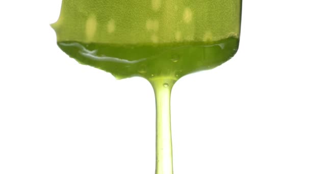 Aloe Vera Blad Med Rinnande Juice Och Grädde Sväng Tabell — Stockvideo