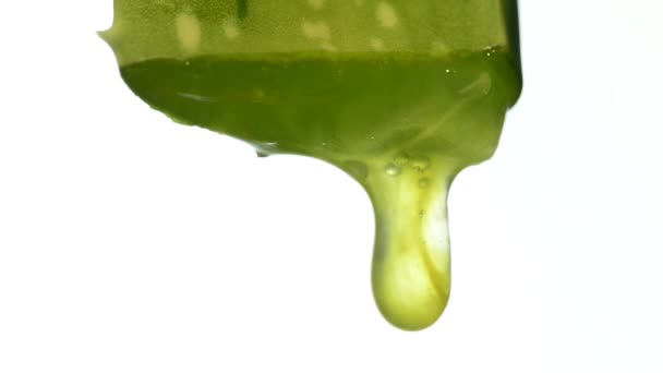 Folha Aloe Vera Com Suco Creme Corrida Mesa Volta — Vídeo de Stock