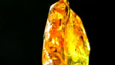 Amber bir dönüş tablo güneşte