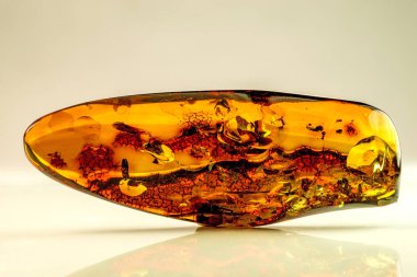 Amber kapanımlar bir closeup ile