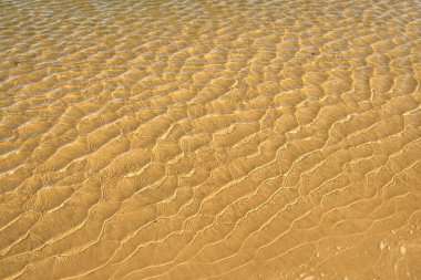 Kum Beach desenleri ile sığ internet