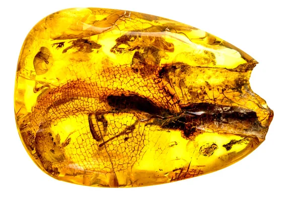 Amber Stone Closeu — Stock Photo, Image