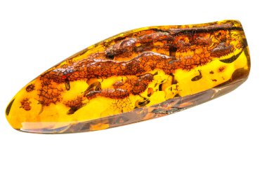 bir portre sarı bilezik