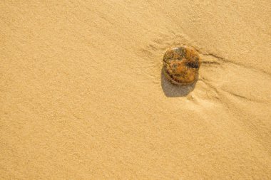 bir plaj çakıl taşı