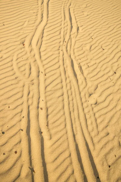 Areia Uma Praia Com Faixas — Fotografia de Stock