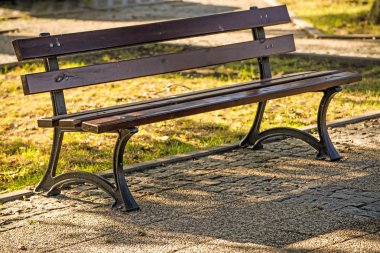 park bankında sonbahar güneşte