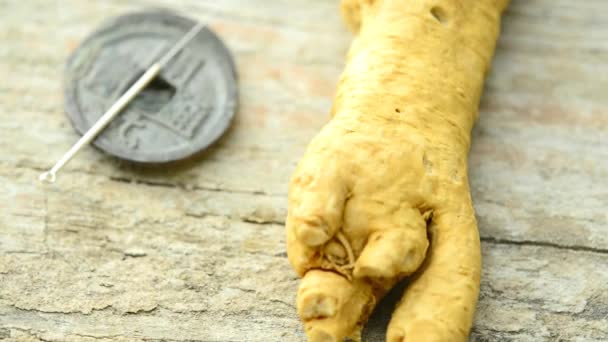 Ginseng Raíz Una Mesa Giratoria — Vídeo de stock