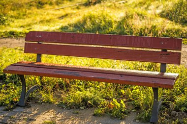 park bankında sonbahar güneşte