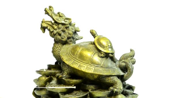 Aiguilles Acupuncture Sur Tortue Chinoise Sur Table Tournante — Video