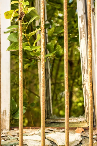 Kılavuz Yeşil Manzaralı Kırık Eski Pencere — Stok fotoğraf