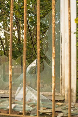 kılavuz ve yeşil manzaralı kırık eski pencere