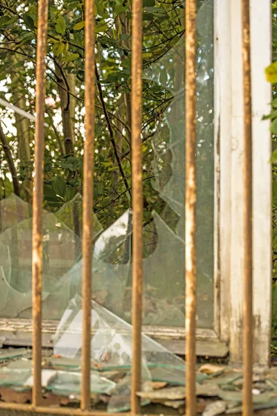 kılavuz ve yeşil manzaralı kırık eski pencere