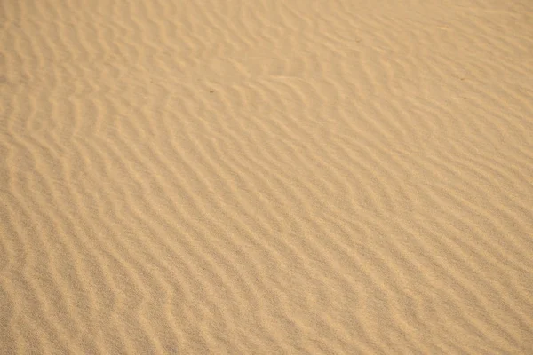 Arena Una Playa Con Patrón Línea — Foto de Stock