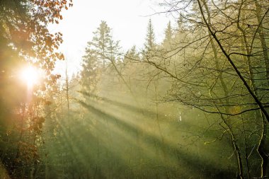 kasık warrm akşam güneşi ile Baltık Denizi