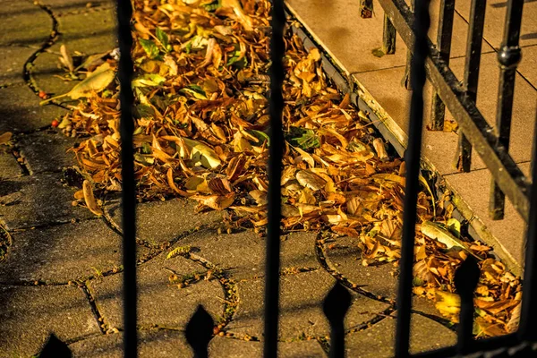 Virilhas Mar Báltico Com Mandados Sol Noite — Fotografia de Stock