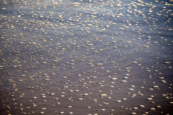 Foam Bubbles Surf Sand — Stock Photo, Image