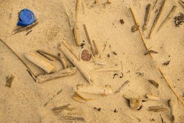 dalgaların karaya attığı odun ve bir plaj plastik kapak