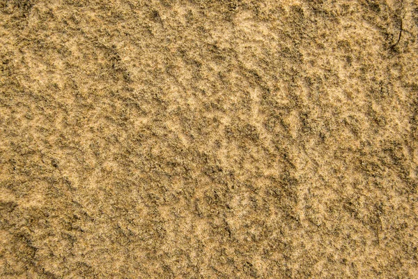 Sand Beach Closeup Crystals — Stock Photo, Image