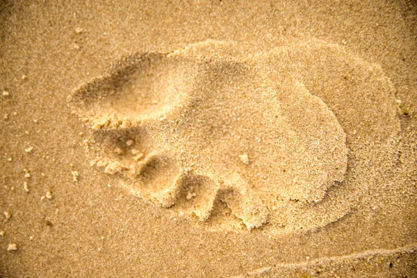 Impronta Una Spiaggia — Foto Stock