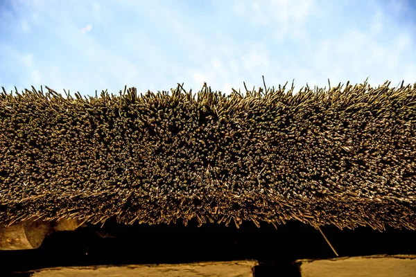 Reed Dachu Zabytkowej Wiejskiej Rezydencji — Zdjęcie stockowe