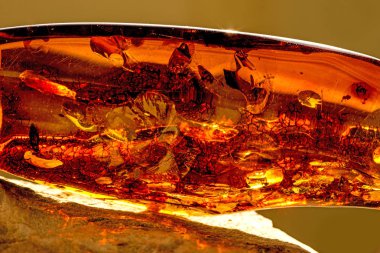 Sun'ın kapanımlar Kehribar'da