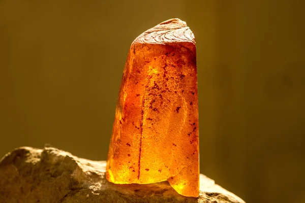 Amber in sun with inclusions — Stock Photo, Image