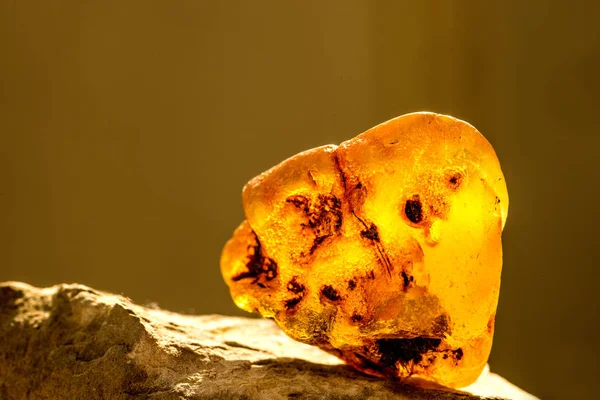 Amber in sun with inclusions — Stock Photo, Image