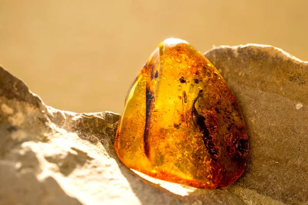 Amber in sun with inclusions — Stock Photo, Image