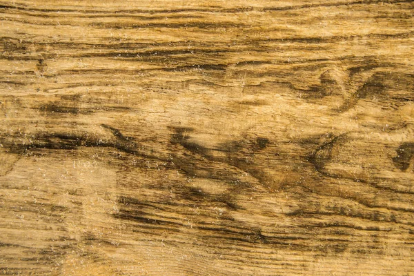 Old plank with cracks and texture — Stock Photo, Image