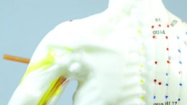 akupunktur iğneleri akupunktur modeli üzerinde döner masa