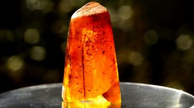Amber bir dönüş tablo güneşte