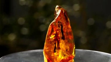 Amber bir dönüş tablo güneşte