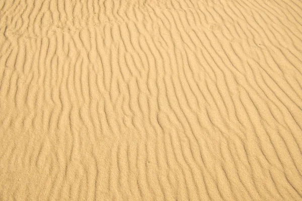 Arena de una playa con patrones de olas — Foto de Stock