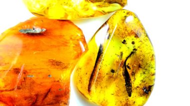 Amber dönüş tablo