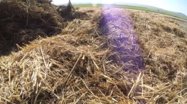 gübre hill adlı bir alan