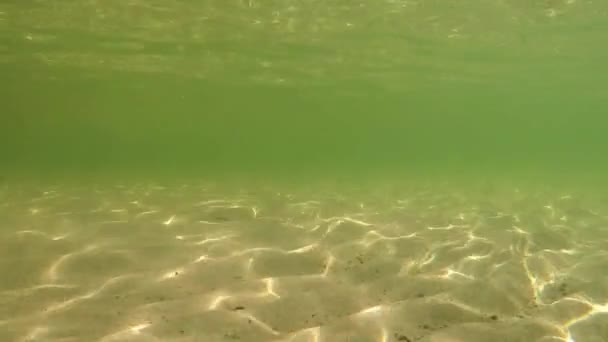 浅水中的水下反射 — 图库视频影像