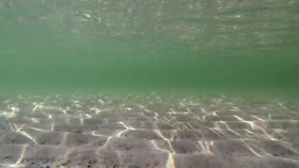 Unterwasserreflexionen Flachen Wasser — Stockvideo