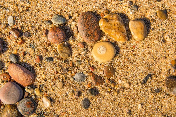 Piedra de guijarro en una playa — Foto de Stock