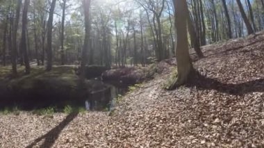Orchzechowa Nehri, Polonya'da Baltık denizi kıyılarına yakın