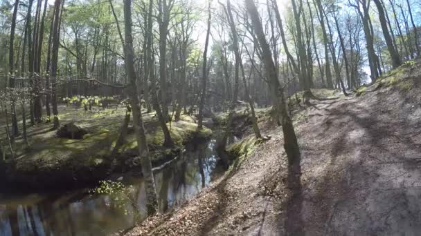 Rivière Orchzechowa, près de la côte de la mer Baltique en Pologne 